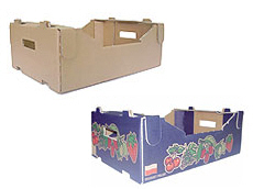 Prima 2000 яблыкі-грушы-слівы садавіны, гародніны 16